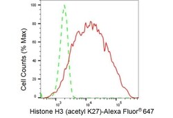 Invitrogen H3K27ac Recombinant Rabbit Monoclonal Antibody (23GB4480), Invitrogen
