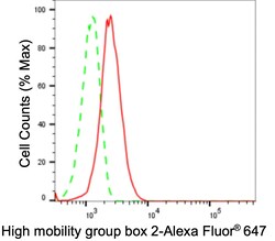 Invitrogen HMGB2 Recombinant Rabbit Monoclonal Antibody (23GB4490), Invitrogen