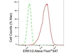 Invitrogen ERK1/ERK2 Recombinant Rabbit Monoclonal Antibody (23GB4510),