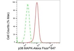 Invitrogen p38 MAPK Recombinant Rabbit Monoclonal Antibody (23GB4535),