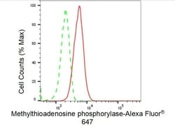 Invitrogen MTAP Recombinant Rabbit Monoclonal Antibody (23GB4560), Invitrogen