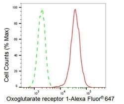 Invitrogen OXGR1 Recombinant Rabbit Monoclonal Antibody (23GB4575), Invitrogen