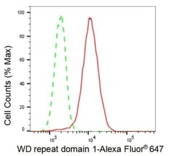 Invitrogen WDR1 Recombinant Rabbit Monoclonal Antibody (23GB4720) 20 &mu;L | Buy Online | Invitrogen&trade; | Fisher Scientific