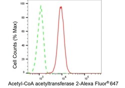 Invitrogen ACAT2 Recombinant Rabbit Monoclonal Antibody (23GB4745), Invitrogen