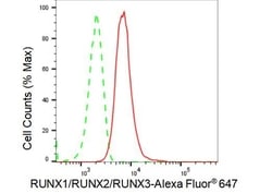 Invitrogen RUNX1/RUNX2/RUNX3 Recombinant Rabbit Monoclonal Antibody (23GB4800),