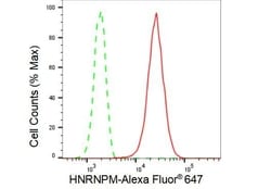 Invitrogen hnRNP M Recombinant Rabbit Monoclonal Antibody (23GB4895), Invitrogen