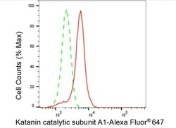 Invitrogen KATNA1 Recombinant Rabbit Monoclonal Antibody (23GB4765), Invitrogen