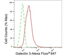 Invitrogen Galectin 3 Recombinant Rabbit Monoclonal Antibody (23GB4780),