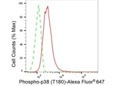 Invitrogen Phospho-p38 MAPK (Thr180) Recombinant Rabbit Monoclonal Antibody