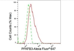 Invitrogen PFKFB3 Recombinant Rabbit Monoclonal Antibody (23GB4880) 20 &mu;L | Buy Online | Invitrogen&trade; | Fisher Scientific