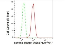 Invitrogen gamma Tubulin Recombinant Rabbit Monoclonal Antibody (23GB4805),