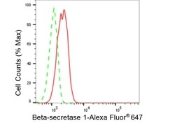Invitrogen BACE1 Recombinant Rabbit Monoclonal Antibody (23GB4865), Invitrogen