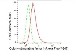 Invitrogen M-CSF Recombinant Rabbit Monoclonal Antibody (23GB5110), Invitrogen