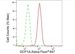 Invitrogen DCP1A Recombinant Rabbit Monoclonal Antibody (23GB5150), Invitrogen