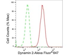 Invitrogen Dynamin 2 Recombinant Rabbit Monoclonal Antibody (23GB5170),