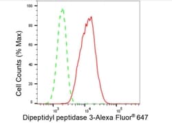 Invitrogen DPP3 Recombinant Rabbit Monoclonal Antibody (23GB5190), Invitrogen