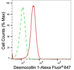 Invitrogen DSC1 Recombinant Rabbit Monoclonal Antibody (23GB5210), Invitrogen