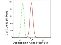 Invitrogen Desmoplakin Recombinant Rabbit Monoclonal Antibody (23GB5220),