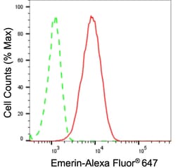 Invitrogen Emerin Recombinant Rabbit Monoclonal Antibody (23GB5320), Invitrogen