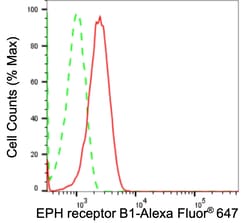 Invitrogen EphB1 Recombinant Rabbit Monoclonal Antibody (23GB5335) 20 &mu;L | Buy Online | Invitrogen&trade; | Fisher Scientific