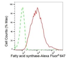 Invitrogen FASN Recombinant Rabbit Monoclonal Antibody (23GB5380), Invitrogen