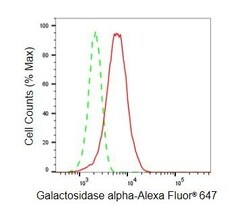 Invitrogen alpha Galactosidase Recombinant Rabbit Monoclonal Antibody (23GB5545) 20 &mu;L | Buy Online | Invitrogen&trade; | Fisher Scientific