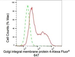 Invitrogen GOLIM4 Recombinant Rabbit Monoclonal Antibody (23GB5575), Invitrogen