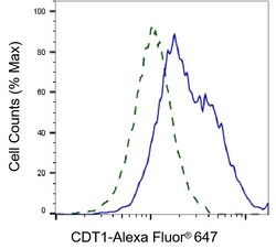 Invitrogen CDT1 Recombinant Rabbit Monoclonal Antibody (23GB5790), Invitrogen