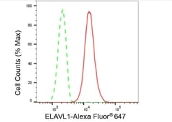 Invitrogen HuR Recombinant Rabbit Monoclonal Antibody (23GB5815), Invitrogen