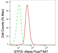 Invitrogen GTF2I Recombinant Rabbit Monoclonal Antibody (23GB5950), Invitrogen