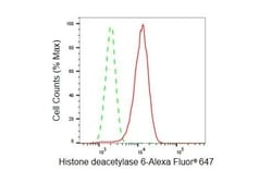 Invitrogen HDAC6 Recombinant Rabbit Monoclonal Antibody (23GB6170), Invitrogen