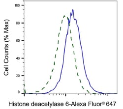 Invitrogen HDAC6 Recombinant Rabbit Monoclonal Antibody (23GB6170), Invitrogen