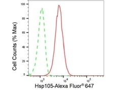 Invitrogen HSP105 Recombinant Rabbit Monoclonal Antibody (23GB6190), Invitrogen