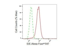 Invitrogen IDE Recombinant Rabbit Monoclonal Antibody (23GB6210), Invitrogen