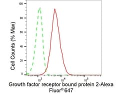 Invitrogen GRB2 Recombinant Rabbit Monoclonal Antibody (23GB6275), Invitrogen