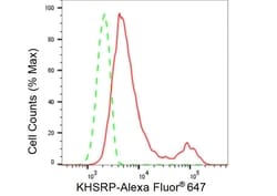 Invitrogen KHSRP Recombinant Rabbit Monoclonal Antibody (23GB6435), Invitrogen