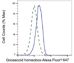 Invitrogen GSC Recombinant Rabbit Monoclonal Antibody (23GB6470), Invitrogen