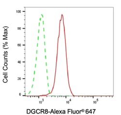 Invitrogen DGCR8 Recombinant Rabbit Monoclonal Antibody (23GB1615), Invitrogen