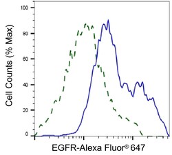 Invitrogen EGFR Recombinant Rabbit Monoclonal Antibody (23GB810), Invitrogen
