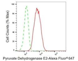 Invitrogen DLAT Recombinant Rabbit Monoclonal Antibody (23GB1010), Invitrogen