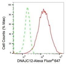 Invitrogen DNAJC12 Recombinant Rabbit Monoclonal Antibody (23GB1815), Invitrogen