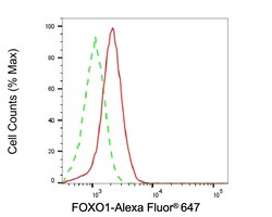Invitrogen FOXO1 Recombinant Rabbit Monoclonal Antibody (23GB850), Invitrogen