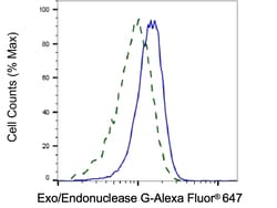 Invitrogen ENDOGL1 Recombinant Rabbit Monoclonal Antibody (23GB1370), Invitrogen
