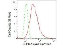 Invitrogen Glutaminase Recombinant Rabbit Monoclonal Antibody (23GB1720), Invitrogen 20 &mu;L | Buy Online | Invitrogen&trade; | Fisher Scientific