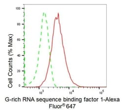 Invitrogen GRSF1 Recombinant Rabbit Monoclonal Antibody (23GB1890), Invitrogen