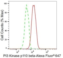 Invitrogen PIK3CB Recombinant Rabbit Monoclonal Antibody (23GB1035) 20 &mu;L | Buy Online | Invitrogen&trade; | Fisher Scientific