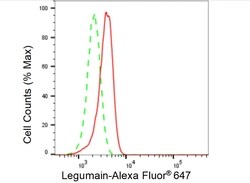 Invitrogen LGMN Recombinant Rabbit Monoclonal Antibody (23GB2095), Invitrogen
