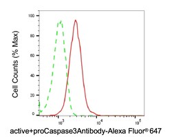 Invitrogen Active/Pro-Caspase 3 Recombinant Rabbit Monoclonal Antibody