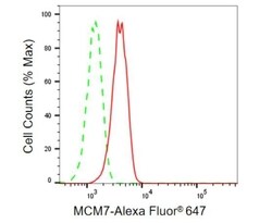 Invitrogen MCM7 Recombinant Rabbit Monoclonal Antibody (23GB1095) 20 &mu;L | Buy Online | Invitrogen&trade; | Fisher Scientific