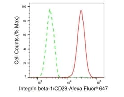Invitrogen ITGB1 Recombinant Rabbit Monoclonal Antibody (23GB885), Invitrogen